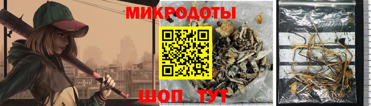 Тверь  Галлюциногенные грибы Psilocybe  Вход с VPN 
